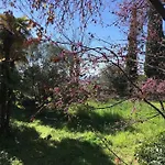 Maison De Charme Dans Les Collines Nicoises *
