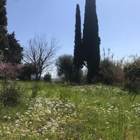 Maison De Charme Dans Les Collines Nicoises Holiday home