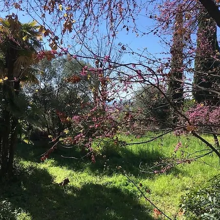 Maison De Charme Dans Les Collines Nicoises *