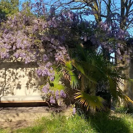 Maison De Charme Dans Les Collines Nicoises