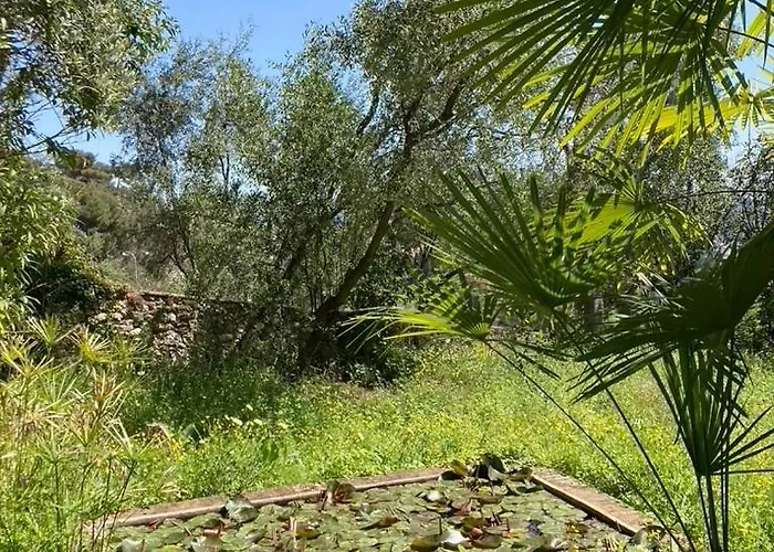 Дом отдыха Maison De Charme Dans Les Collines Nicoises Ницца
