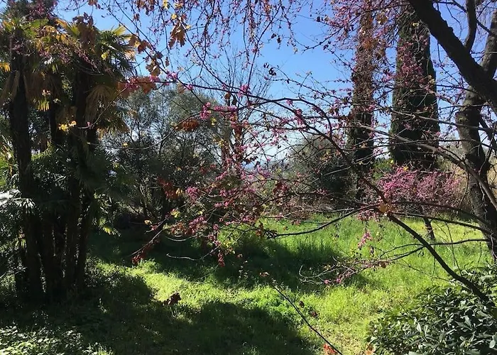 Maison De Charme Dans Les Collines Nicoises *