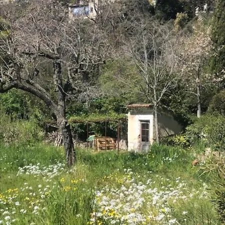 Maison De Charme Dans Les Collines Nicoises * ニース